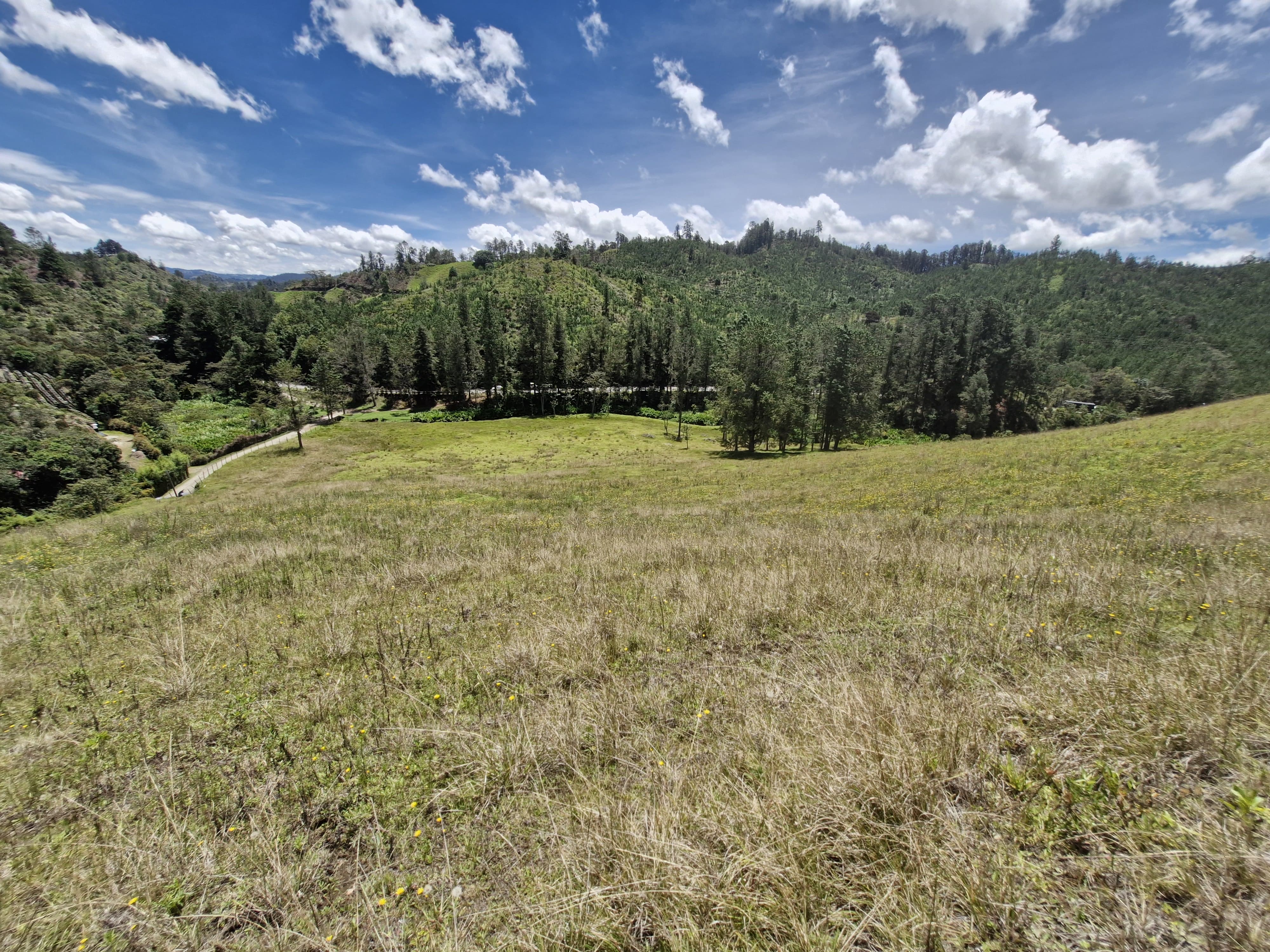 Land in Lejos del nido for Sale - 3