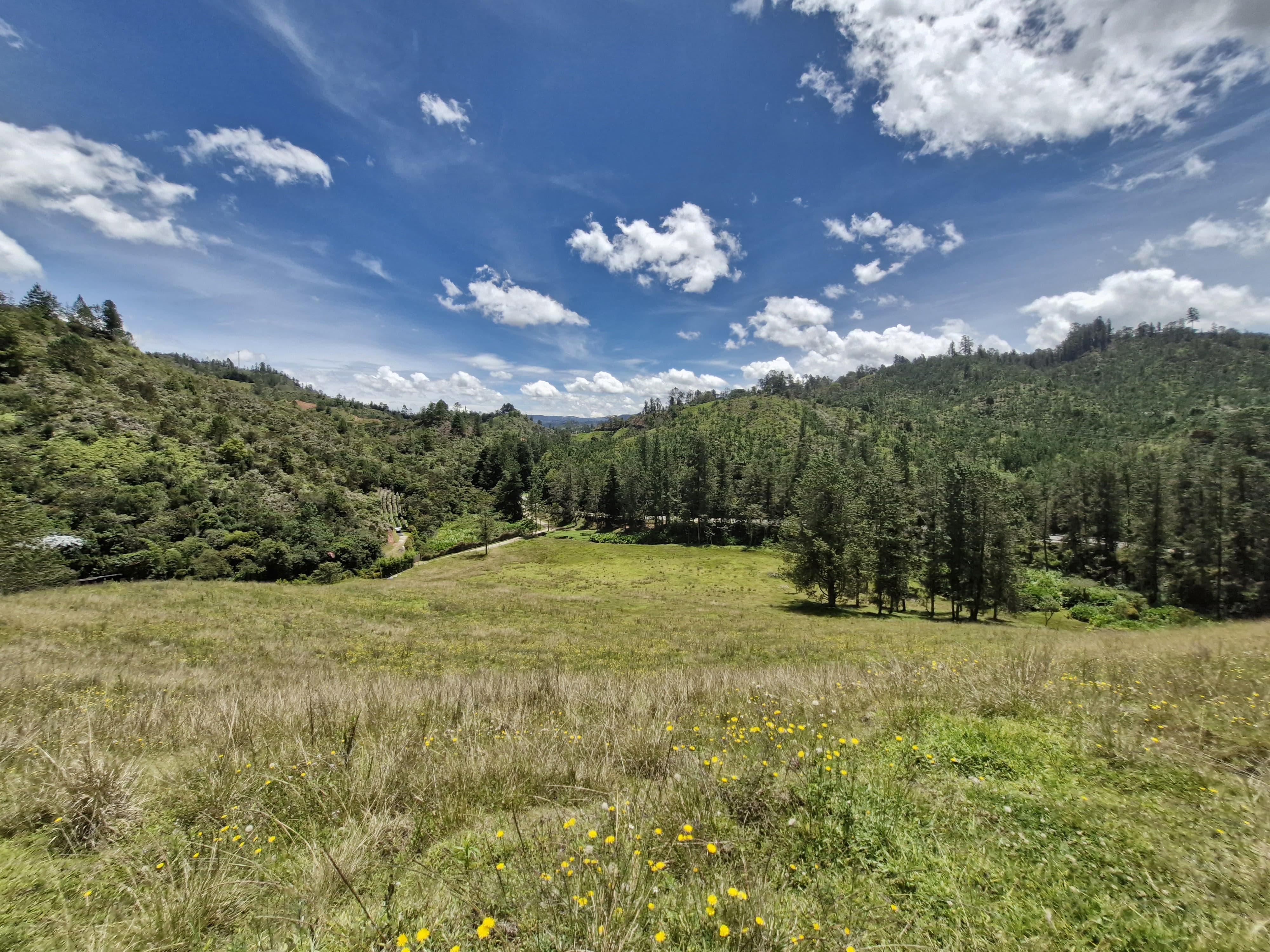 Land in Lejos del nido for Sale - 4