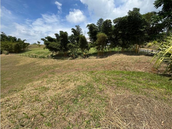 Lote en venta en La Riverita, Cali, 4564 m² · foto 5 de 8