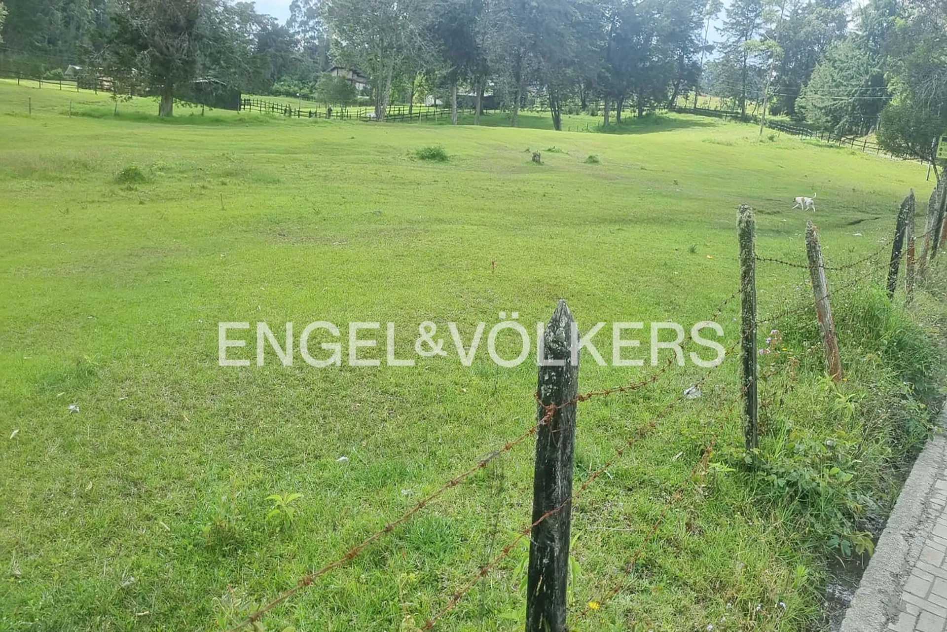 Land in El Retiro for Sale - 3