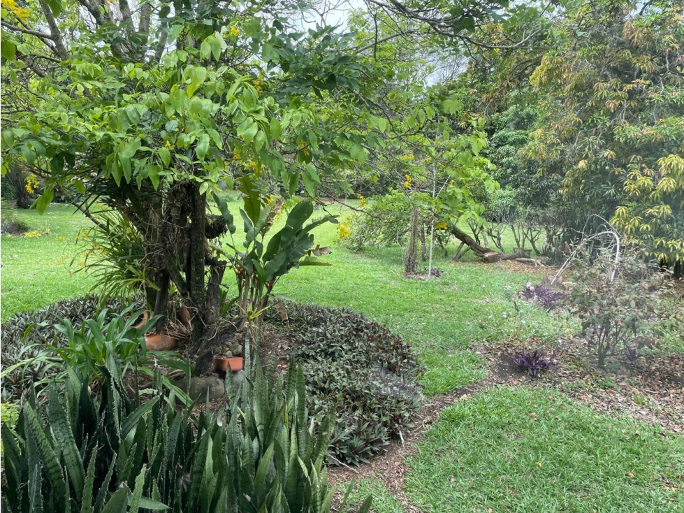 Casa en arriendo en Pance, Cali · foto 3 de 24