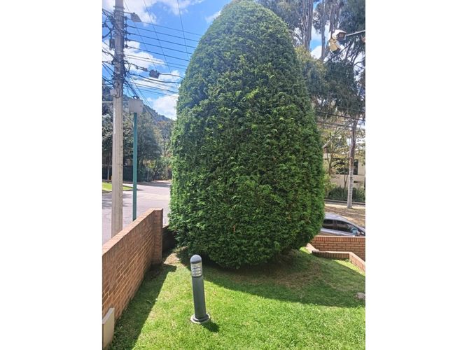 Apartamento en venta en Santa Ana Oriental, Bogotá · foto 13 de 21