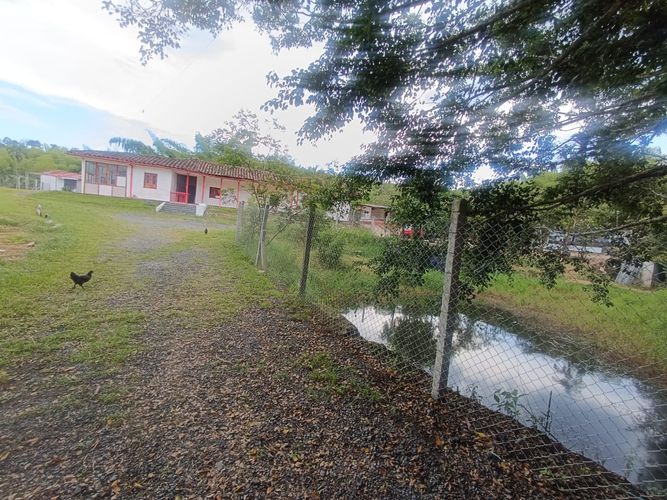 Casa de 6 alcobas en arriendo en Santana, Dosquebradas · foto 7 de 16