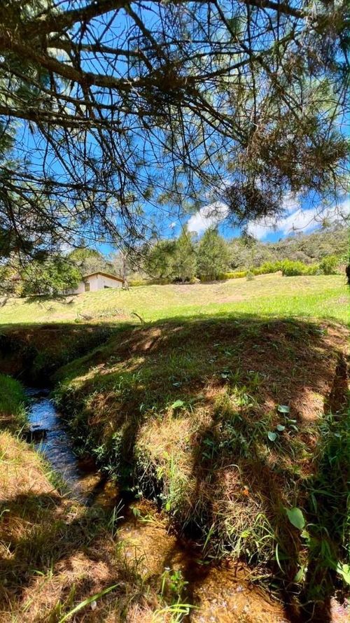 Lote en venta en La Mosquita, Guarne, 2535 m² · foto 9 de 15