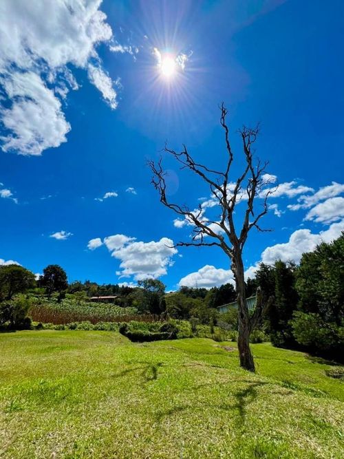 Lote en venta en La Mosquita, Guarne, 2535 m² · foto 12 de 15