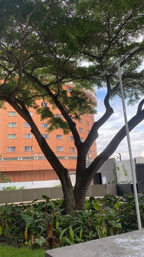 Apartaestudio en arriendo en San Vicente, Cali, 30 m² · foto 14 de 24