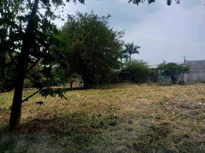 Lote en venta en Pance, Cali · foto 2 de 6
