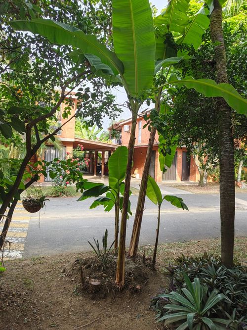 Casa de 4 alcobas en venta en El Castillo, Jamundí, 201 m² · foto 13 de 18