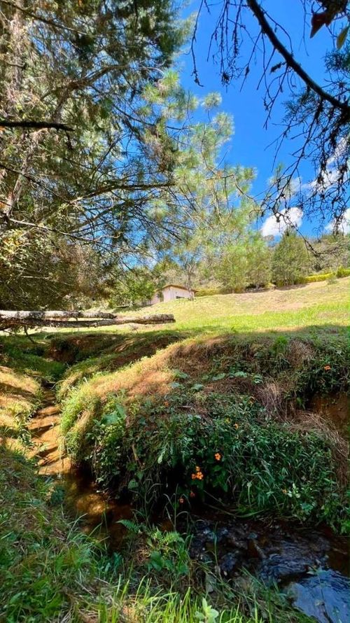 Casa de 5 alcobas en venta en La Mosquita, Guarne, 245 m² · foto 10 de 24