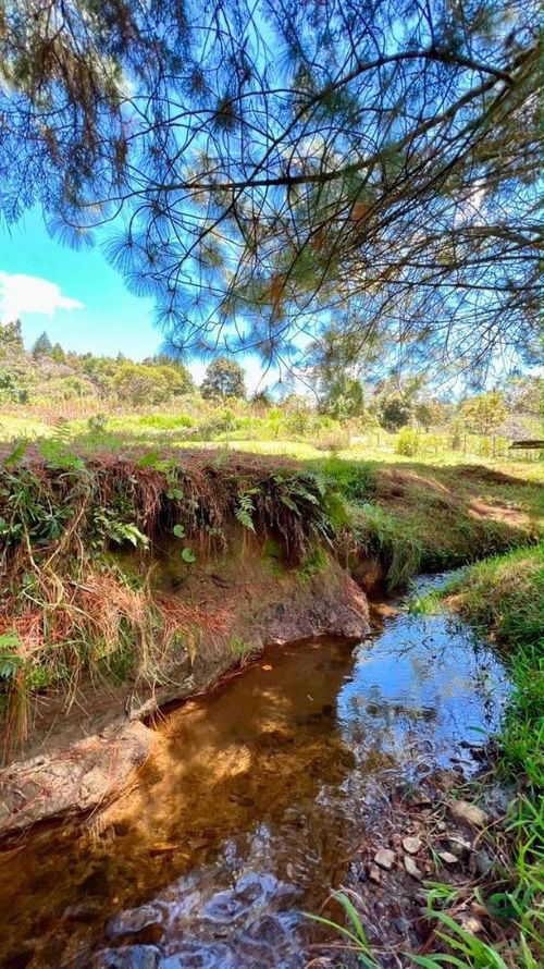 Casa de 5 alcobas en venta en La Mosquita, Guarne, 245 m² · foto 16 de 24