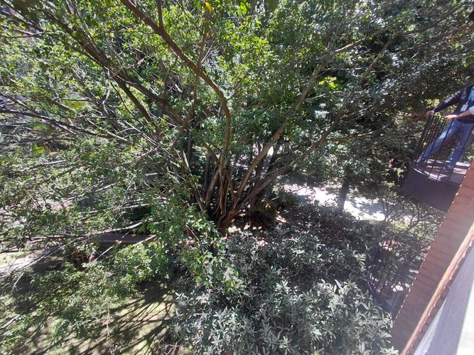 Apartamento de 2 alcobas en arriendo en Los Naranjos, Medellín, 72 m² · foto 21 de 24