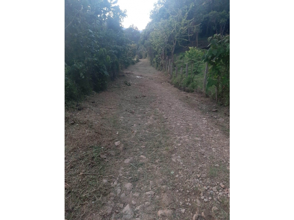 Land in Santa Elena for Sale