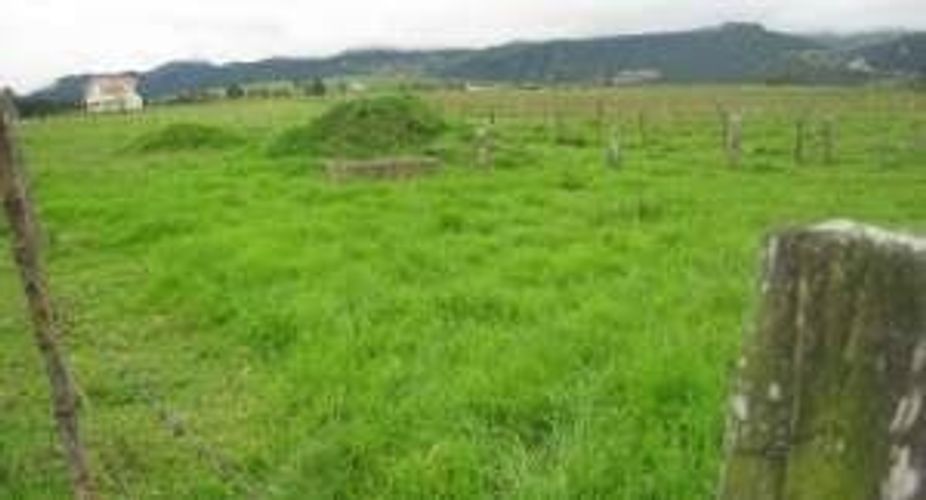 Lote en venta en Vereda El Salitre, La Calera, 10000 m² · foto 2 de 3