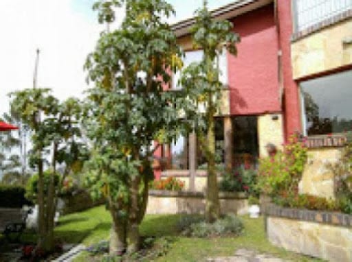 Casa de 4 alcobas en venta en Arboretto, La Calera, 550 m² · foto 13 de 16