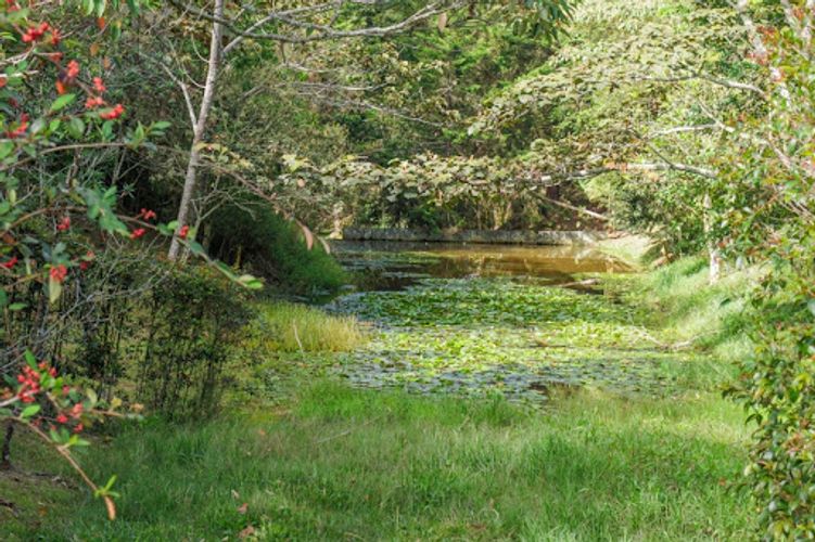 Lote en venta en El Carmen De Viboral, El Carmen de Viboral, 2669 m² · foto 11 de 24