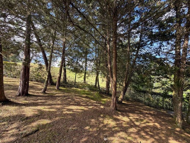 Lote en venta en El Carmen De Viboral, El Carmen de Viboral, 2669 m² · foto 17 de 24