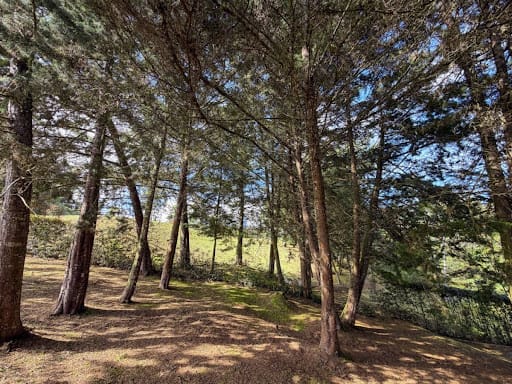 Lote en venta en El Carmen De Viboral, El Carmen de Viboral, 2669 m² · foto 19 de 24