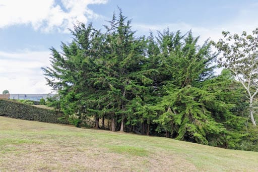Lote en venta en El Carmen De Viboral, El Carmen de Viboral, 2669 m² · foto 23 de 24