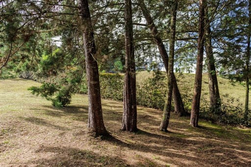 Lote en venta en El Carmen De Viboral, El Carmen de Viboral, 2669 m² · foto 24 de 24