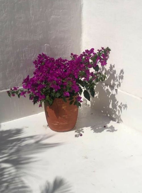 Apartamento de 2 alcobas en venta en Alto De La Cruz, Girardot, 118 m² · foto 2 de 22