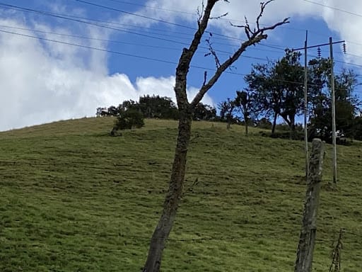 Lote en venta en Paso Real, La Calera, 56 m² · foto 4 de 6