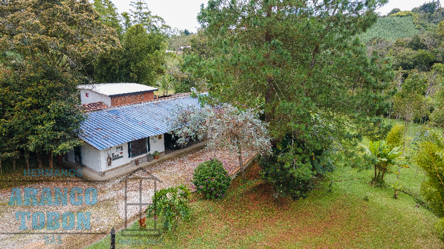 Finca en venta en La Mosca, Guarne, 16000 m² · foto 8 de 9