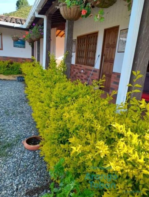 Casa de 4 alcobas en venta en Pablo Sexto, Marinilla · foto 2 de 13