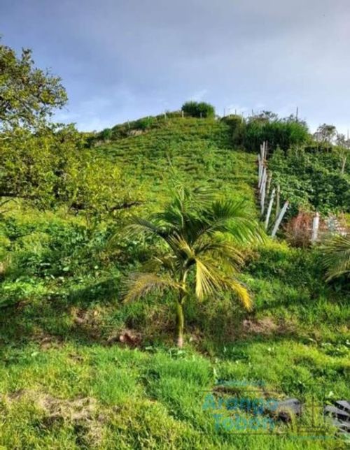 Casa de 4 alcobas en venta en Pablo Sexto, Marinilla · foto 6 de 13