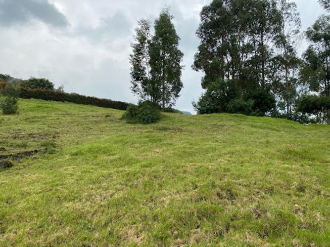 Lote en venta en Paso Real, La Calera, 3635 m² · foto 6 de 8