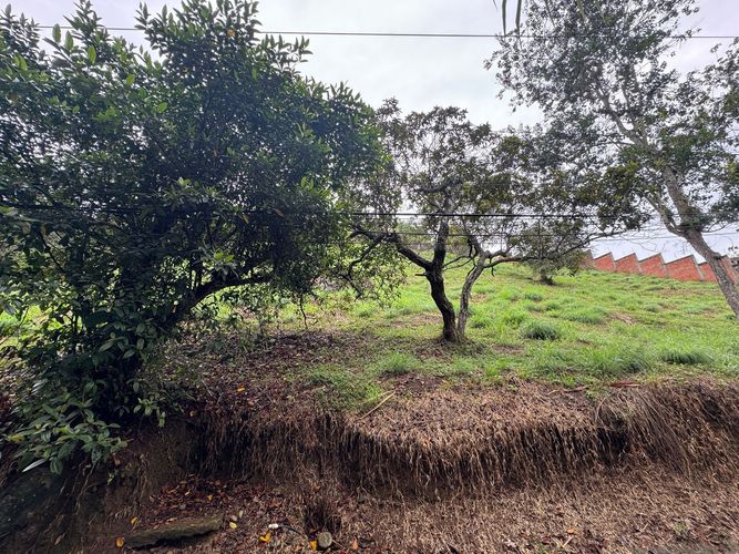 Lote en venta en Alfaguara, Jamundí, 2556 m² · foto 12 de 21