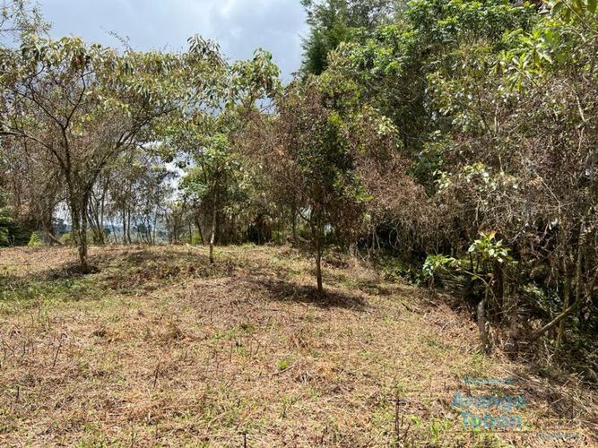Lote en venta en Centro, Rionegro, 7950 m² · foto 2 de 6