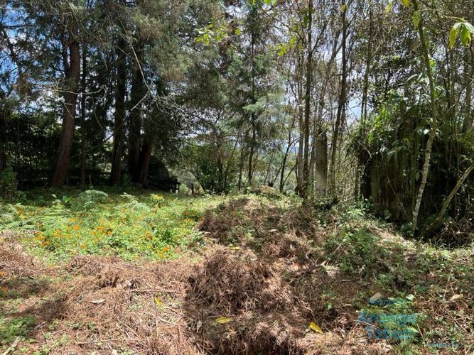 Lote en venta en Centro, Rionegro, 7950 m² · foto 3 de 6