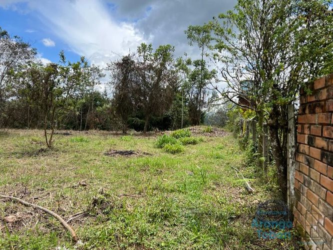Lote en venta en Centro, Rionegro, 7950 m² · foto 4 de 6
