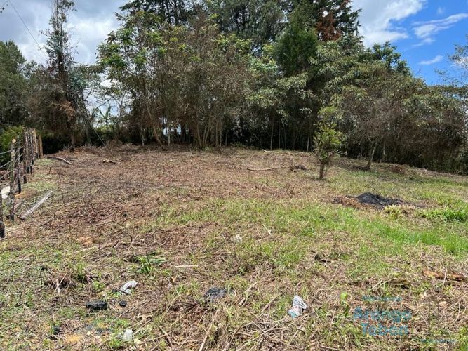 Lote en venta en Centro, Rionegro, 7950 m² · foto 5 de 6