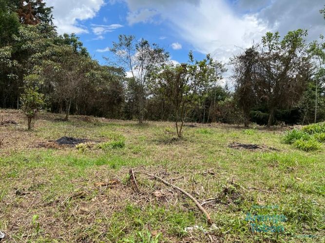 Lote en venta en Centro, Rionegro, 7950 m² · foto 6 de 6