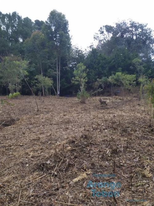 Lote en venta en Centro, Rionegro, 9258 m² · foto 5 de 5