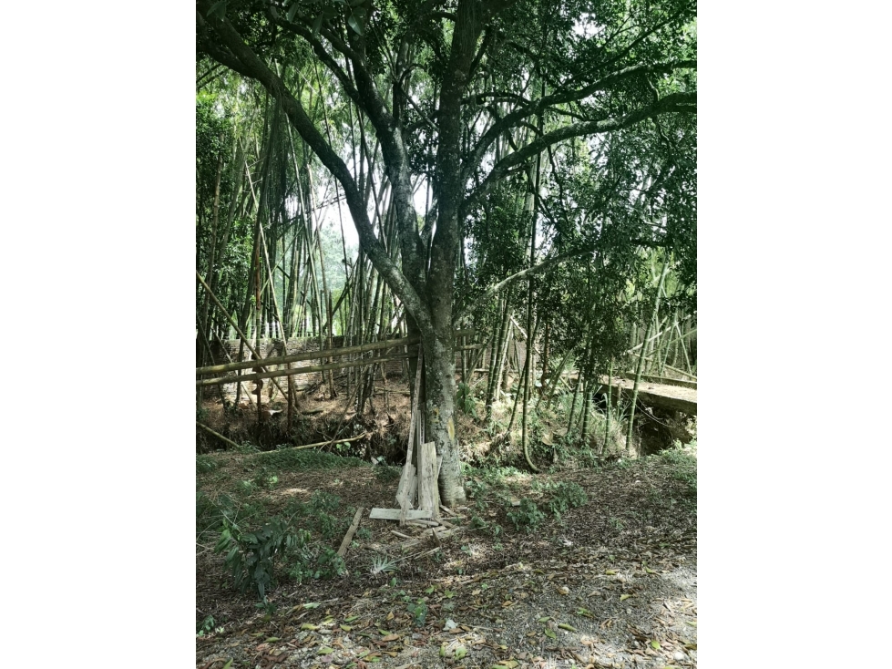 Lote en venta en Potrerito, Jamundí, 468 m² · foto 8 de 21