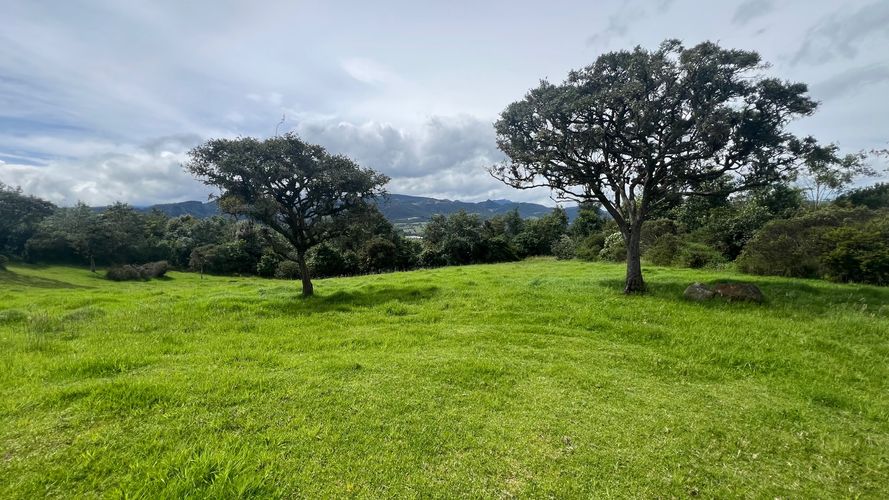 Lote en venta en Pradera De Potosi, La Calera, 5000 m² · foto 4 de 14