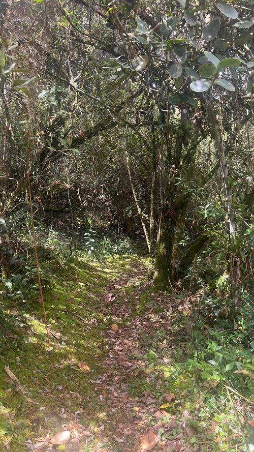 Lote en venta en Pradera De Potosi, La Calera, 5000 m² · foto 14 de 14