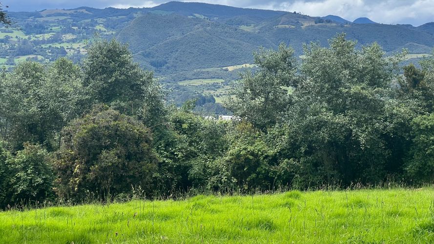 Lote en venta en Pradera De Potosi, La Calera, 5000 m² · foto 13 de 14
