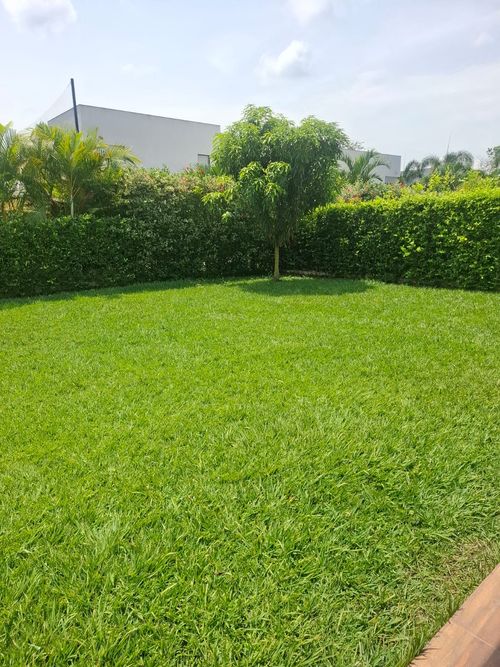 Casa de 3 alcobas en venta en Pance, Cali, 305 m² · foto 23 de 23