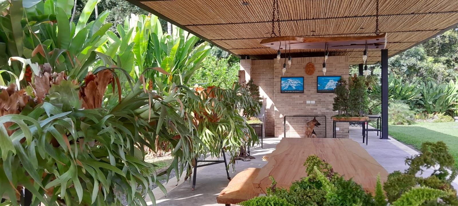 Casa en venta en Cerritos, Pereira · foto 2 de 17