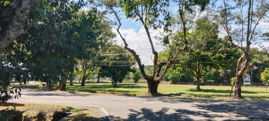 Lote en venta en Alfaguara, Jamundí, 1890 m² · foto 4 de 17