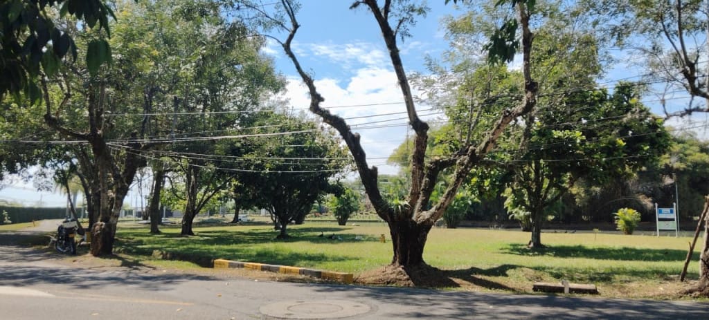 Lote en venta en Alfaguara, Jamundí, 1890 m² · foto 5 de 17