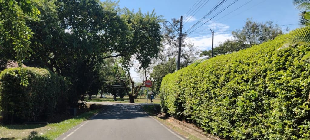 Lote en venta en Alfaguara, Jamundí, 1890 m² · foto 6 de 17
