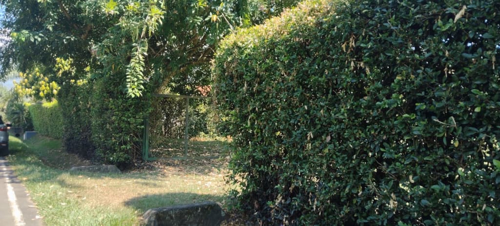 Lote en venta en Alfaguara, Jamundí, 1890 m² · foto 11 de 17