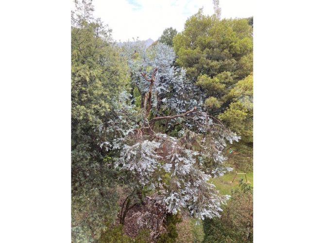 Apartamento de 3 alcobas en venta en San Patricio, Bogotá, 264 m² · foto 21 de 24