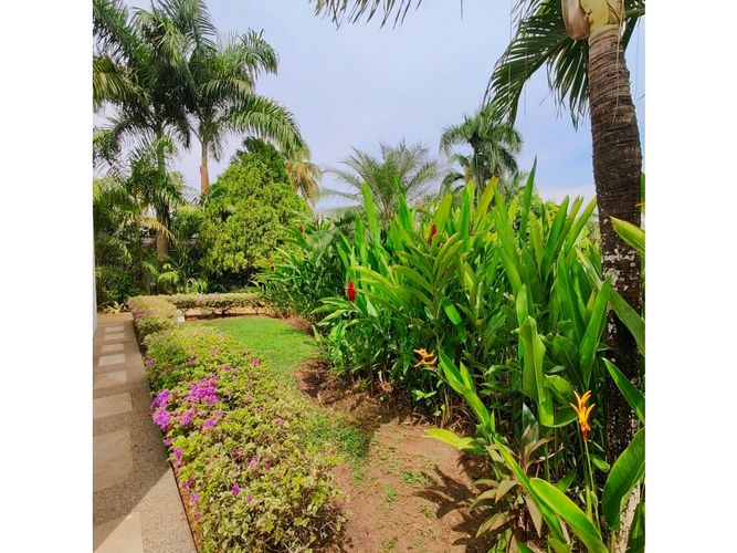Casa de 4 alcobas en venta en Hacienda Peñalisa Guadua, Ricaurte, 280 m² · foto 7 de 24