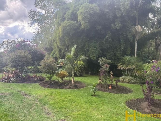 Casa de 5 alcobas en venta en La Ceja · foto 8 de 21