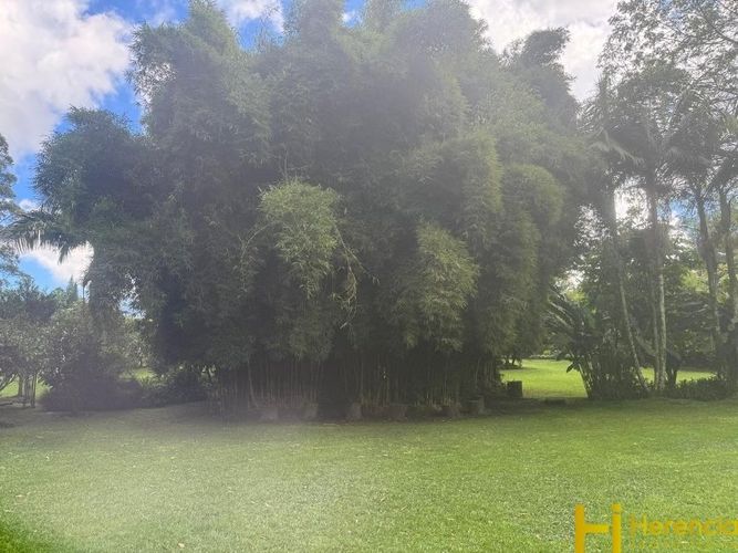Casa de 5 alcobas en venta en La Ceja · foto 13 de 21